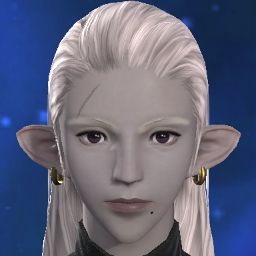 Halie Bus