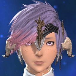 Sakurai Arashi