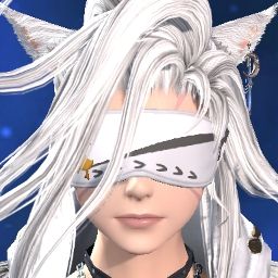 Xecty Ein