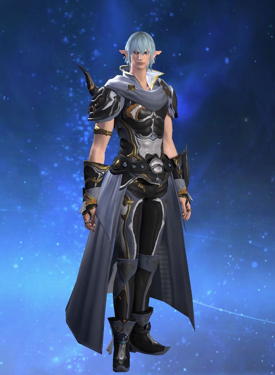 Chivalric Knight