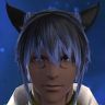 Frostcat Duport