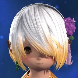 Nibu Neco