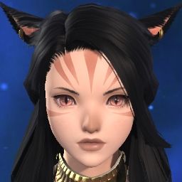 Chat Noire
