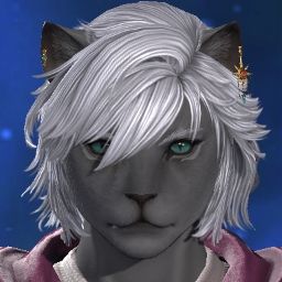 Thomas Catte