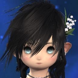 Soft Tofu
