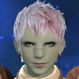 Rui Iris