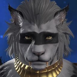 Raccoon Raccoon