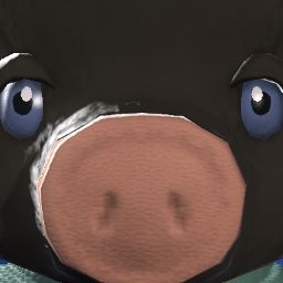 Natu Mikyan