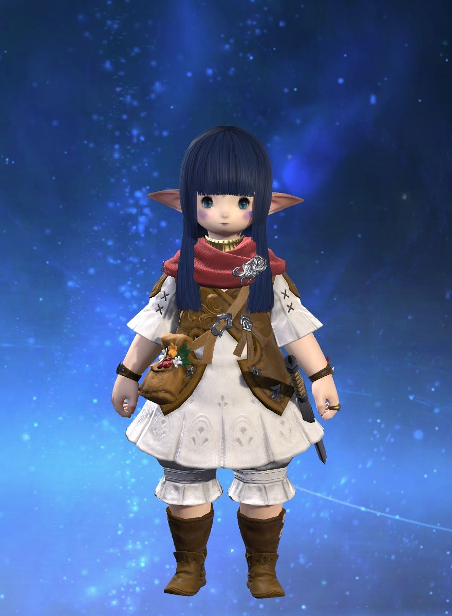 Battlehigh Enjoyer