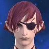 Id Vidur