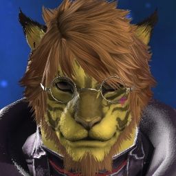 Jacketo Gato