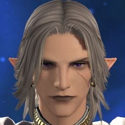 Dexom Snow