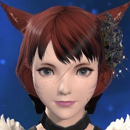 Aerin Aldamin