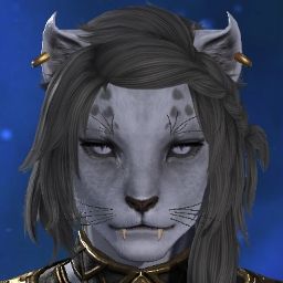 Signature Kitty
