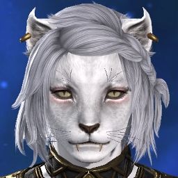 Chiguta Catnip