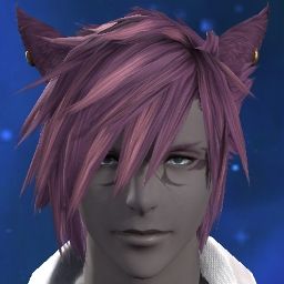 Schroedingers Catboy