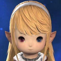 Guild Leader