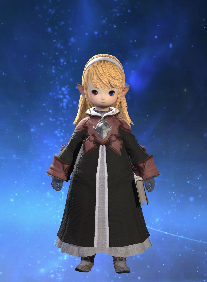 Guild Leader