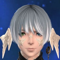 Neko Jyaga