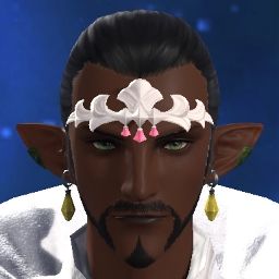 Aevin Darkmaster