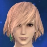 Hamburger Tanaka
