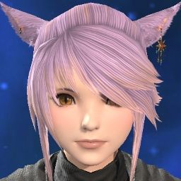 Noribou Miqo'te