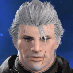 Solidus Steele