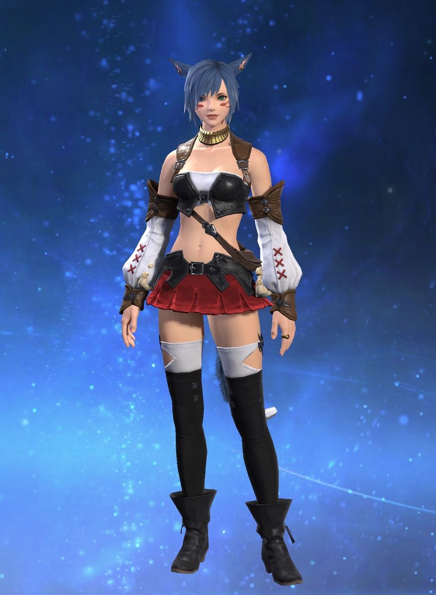 Paini Core