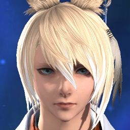 Msq Enjoyer