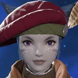 Dehnai Everything
