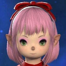 Amy-rose Hedgehog