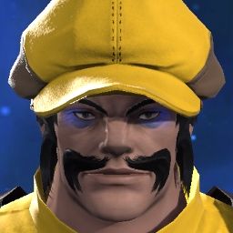 Wario Wario