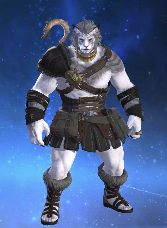 Knox Catto