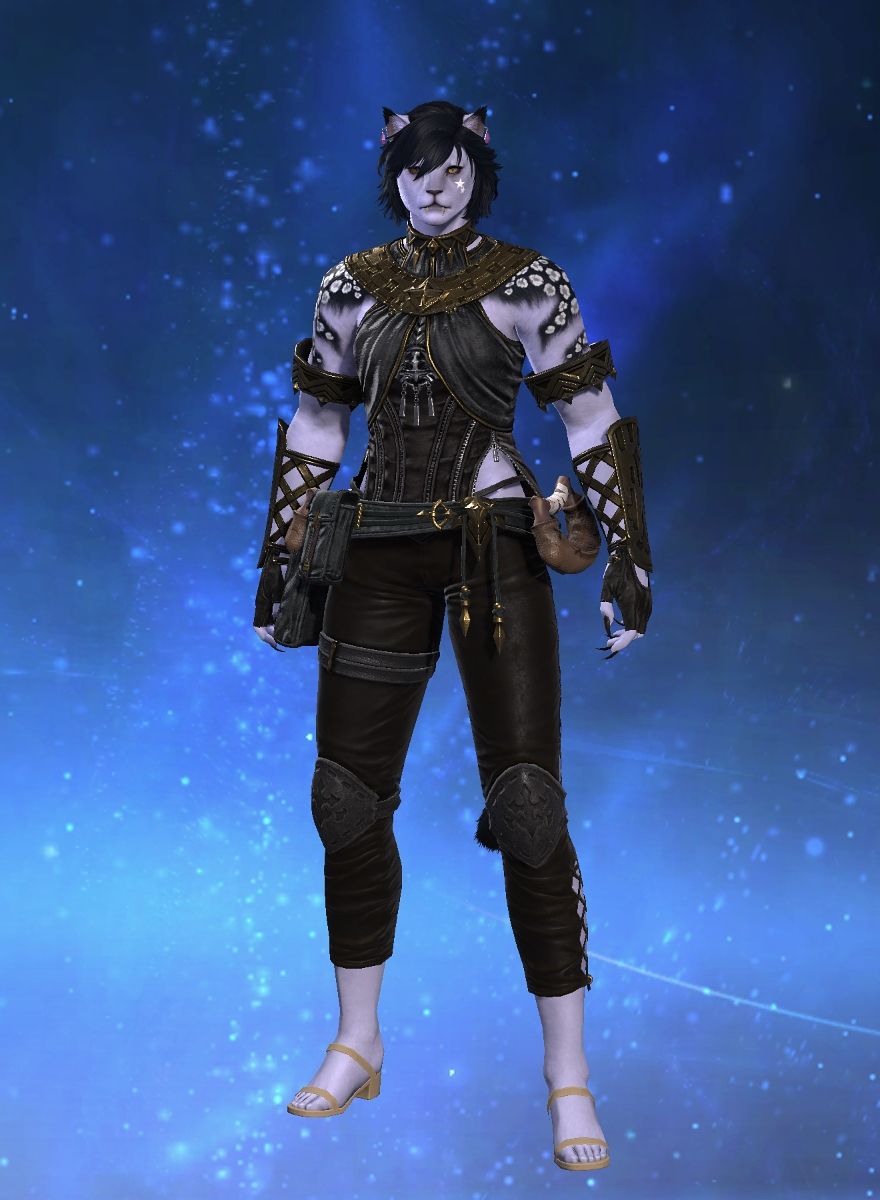 Felis Constellation