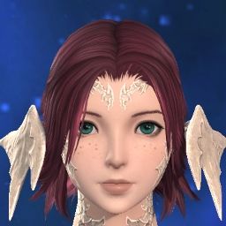 Paladin0458's Avatar