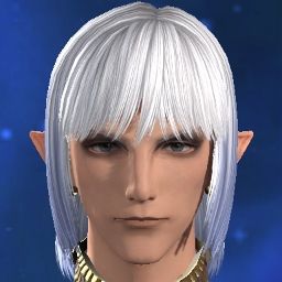 Estinien Wyrmblooded