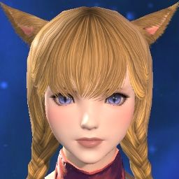 Wonder Kitty