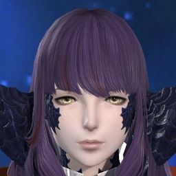 Wakomeshi Misoup