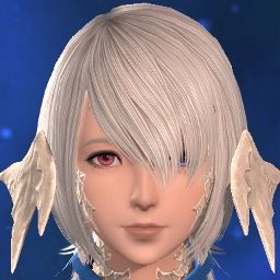 Gaiden Ring