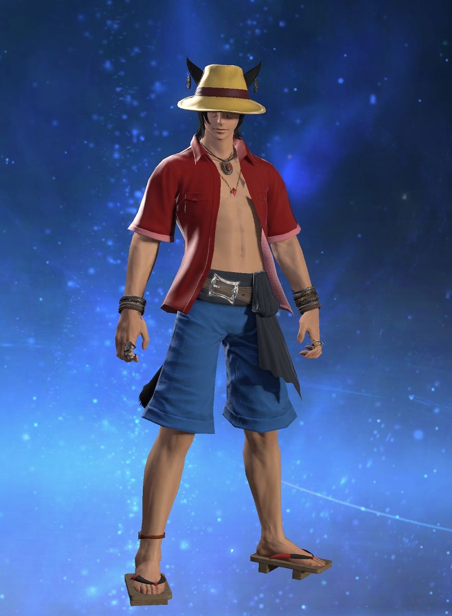 D' Luffy