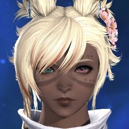 WinterFoxx's Avatar
