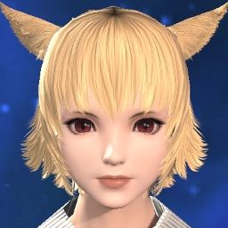 Neco Pudding
