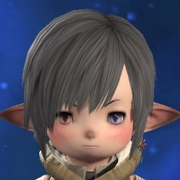 Toriro Moi