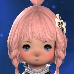 Kotori Leonis