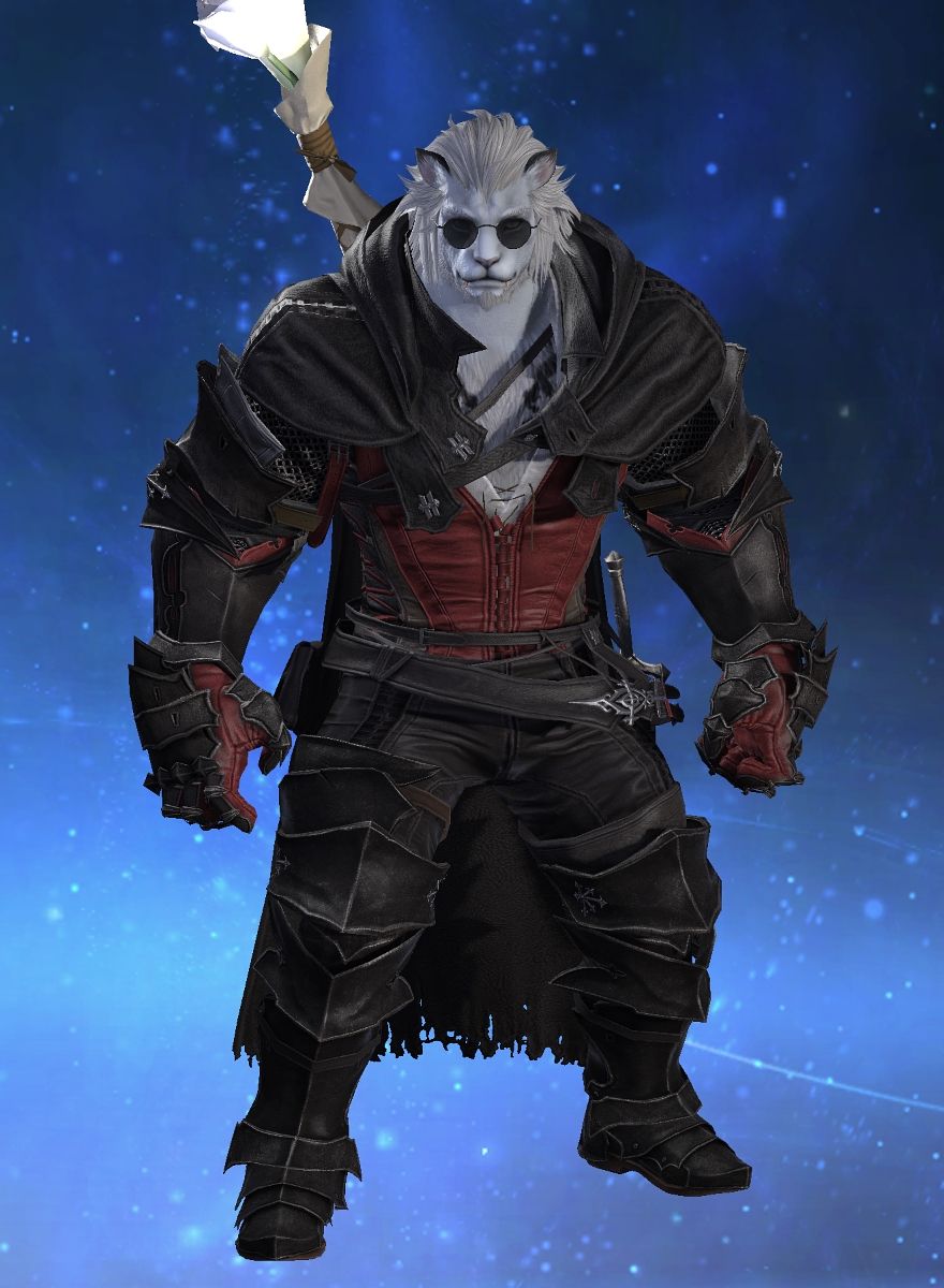 Tofu Torgal