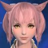 Shloe Momo