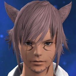 Don Miqo'te