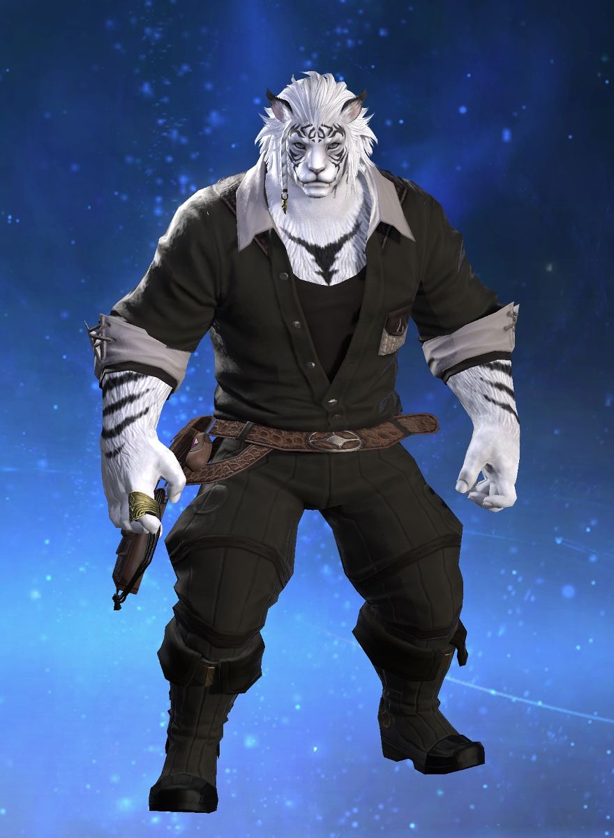 Furry Cat