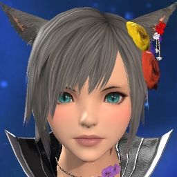 Miiko Raccoon