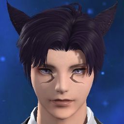 Valyx Corsaint
